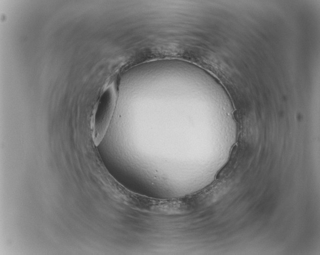 X0000059091201200510172046