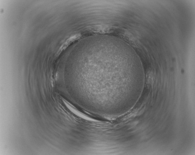 X0000059091202200510172046