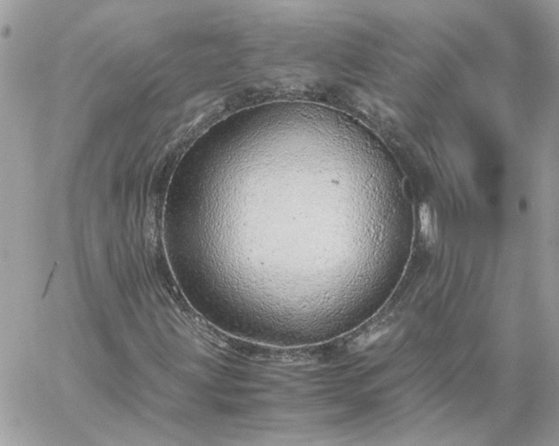 X0000059091203200510172046