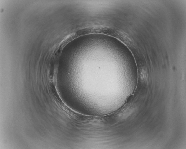 X0000059091204200510172046