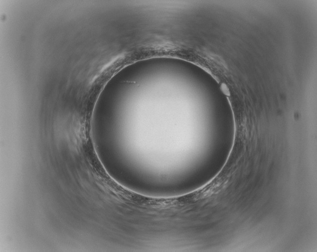 X0000059091205200510172046