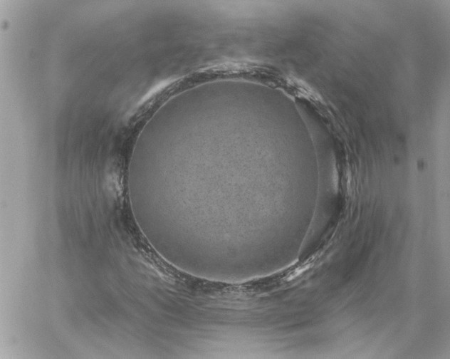 X0000059091206200510172046