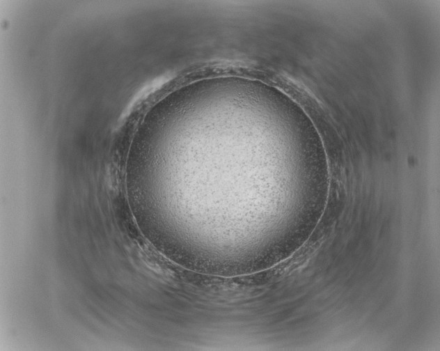 X0000059091207200510172046