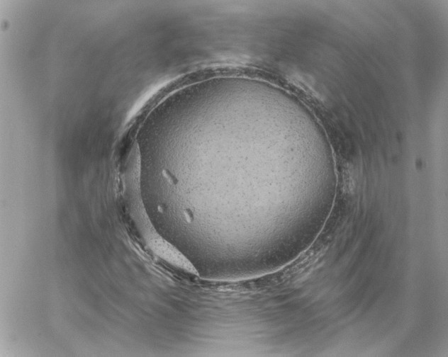 X0000059091208200510172046