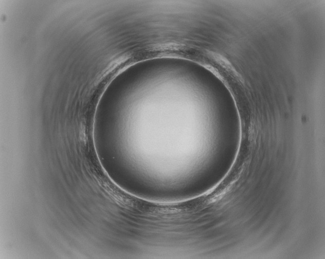 X0000059091209200510172046