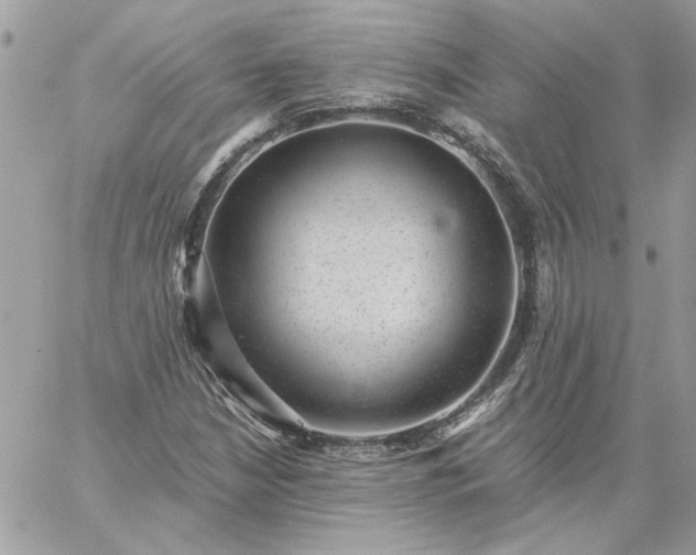 X0000059091210200510172046