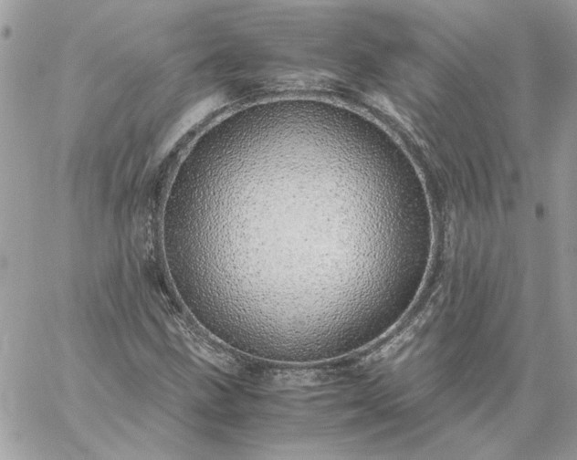 X0000059091211200510172046