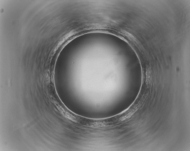 X0000059091212200510172046