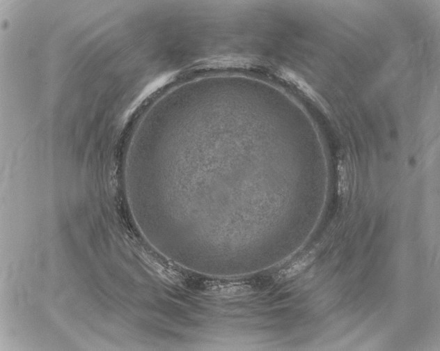 X0000059091213200510172046