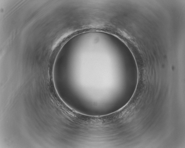 X0000059091214200510172046