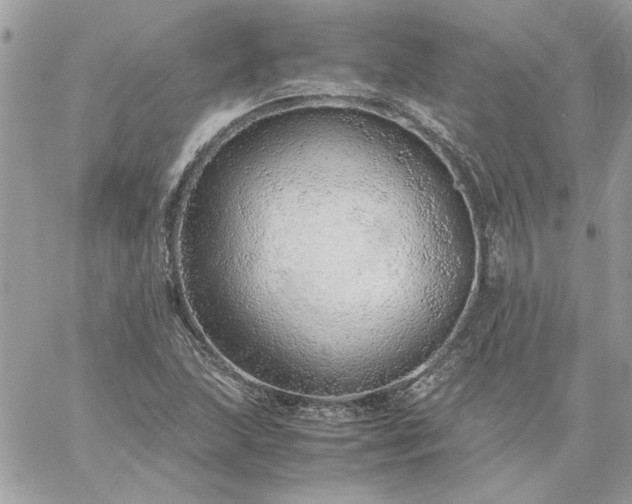 X0000059091215200510172046