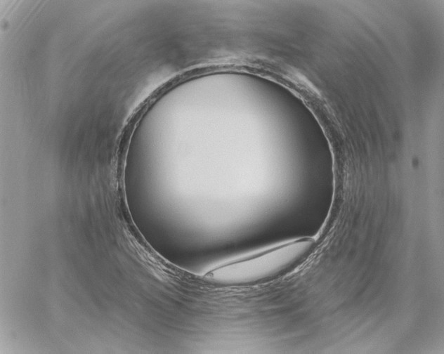 X0000059091216200510172046