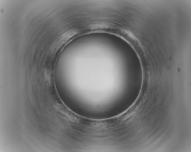 X0000059091217200510172046