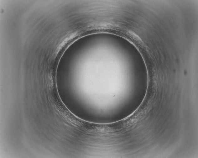 X0000059091218200510172046