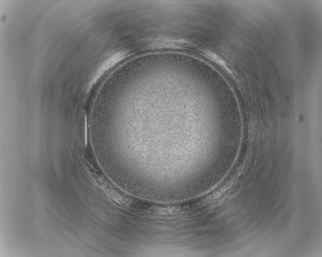 X0000059091219200510172046