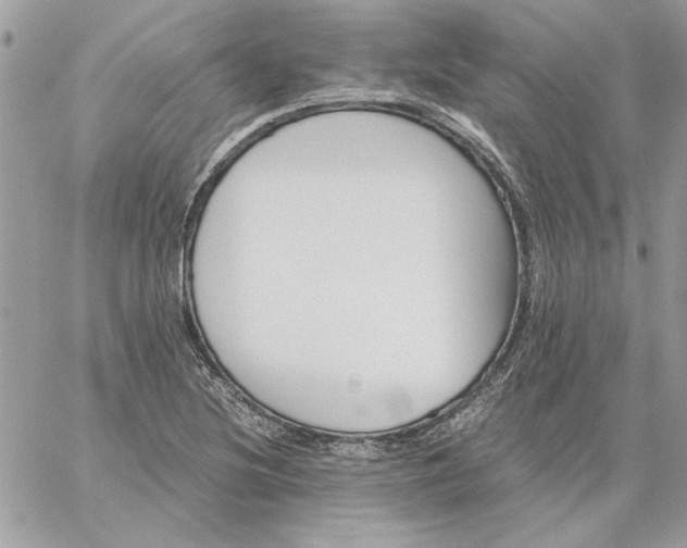 X0000059091220200510172046