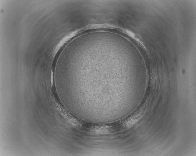 X0000059091221200510172046