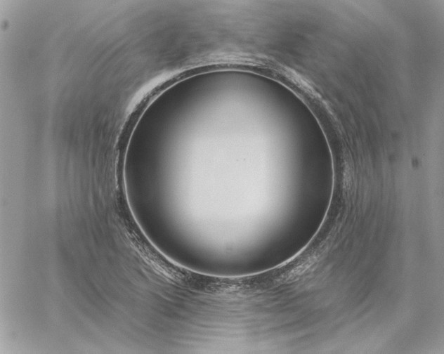 X0000059091222200510172046