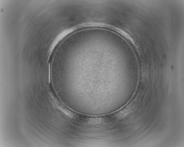 X0000059091223200510172046