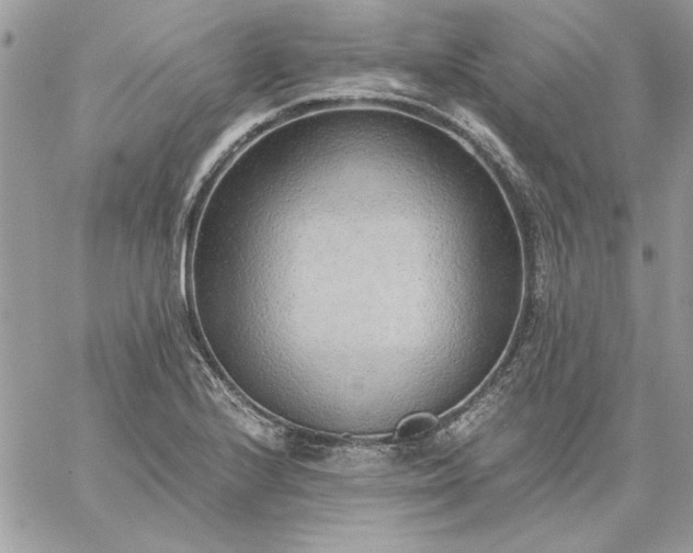 X0000059091224200510172046