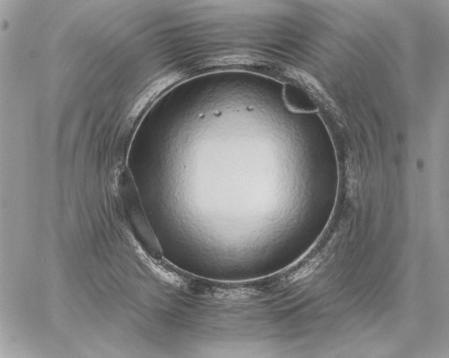 X0000059091225200510172046