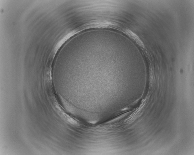 X0000059091226200510172046