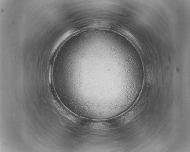 X0000059091227200510172046