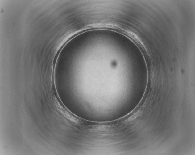 X0000059091228200510172046