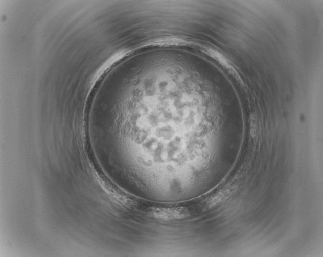 X0000059091229200510172046