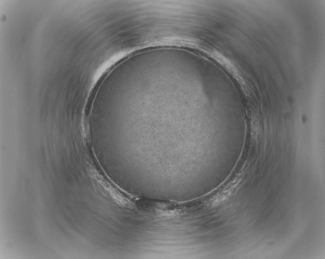 X0000059091230200510172046