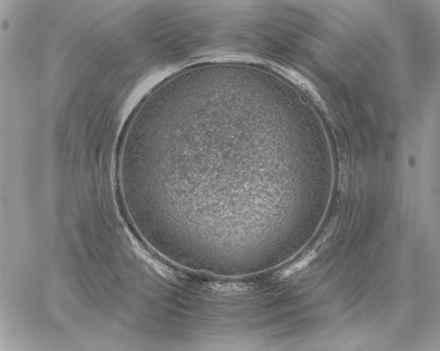 X0000059091231200510172046