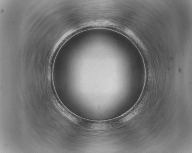 X0000059091232200510172046