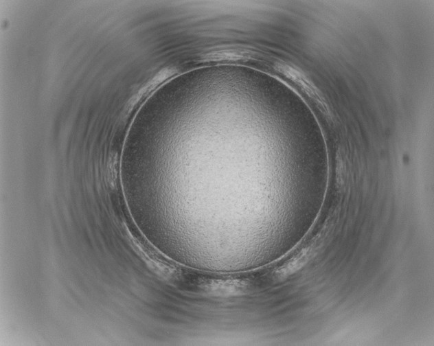 X0000059091233200510172046