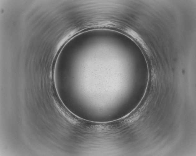 X0000059091234200510172046