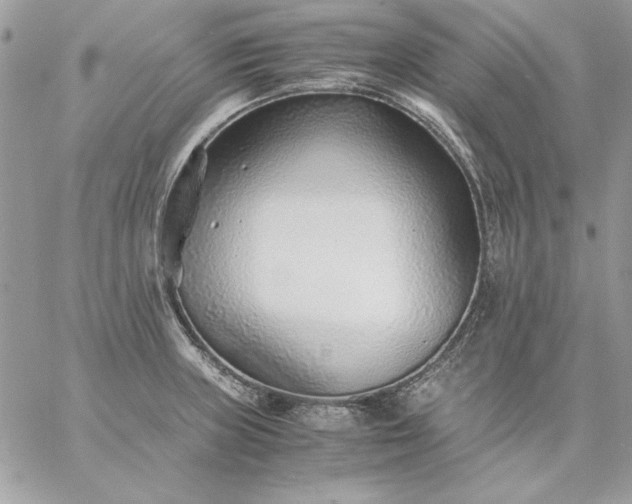 X0000059091235200510172046