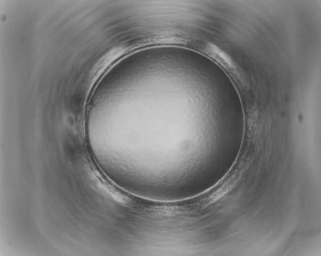 X0000059091236200510172046