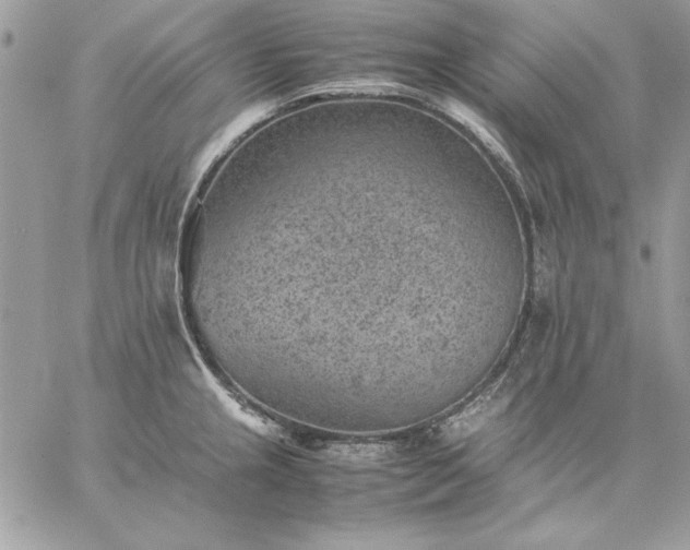 X0000059091237200510172046