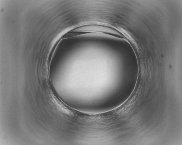 X0000059091238200510172047