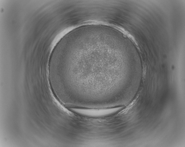 X0000059091239200510172047