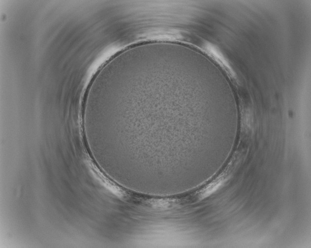 X0000059091240200510172047