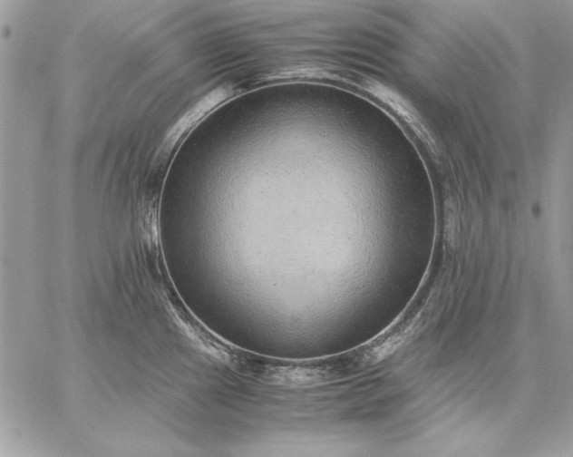 X0000059091241200510172047