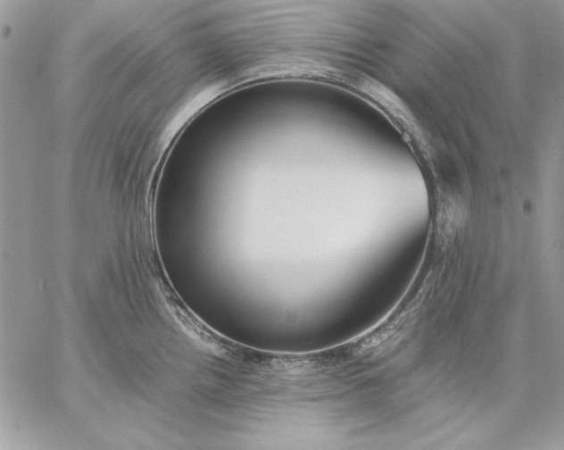 X0000059091242200510172047