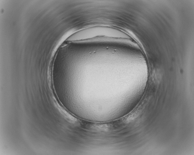 X0000059091243200510172047