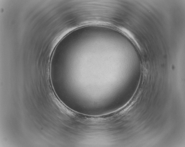 X0000059091244200510172047