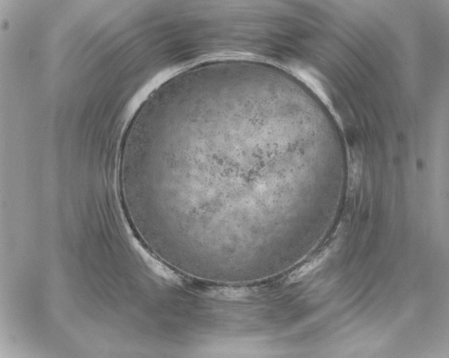 X0000059091245200510172047