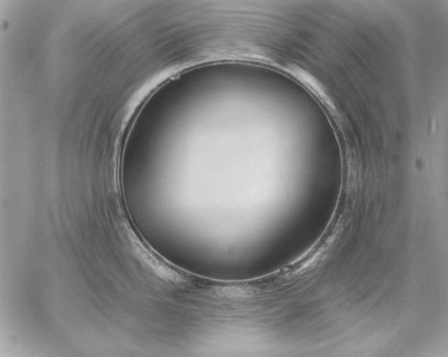 X0000059091246200510172047