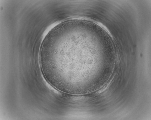 X0000059091247200510172047