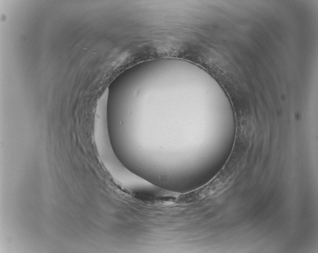 X0000059091249200510172046