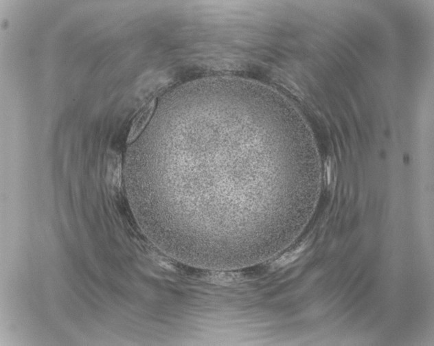 X0000059091251200510172046