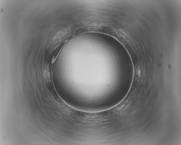 X0000059091252200510172046